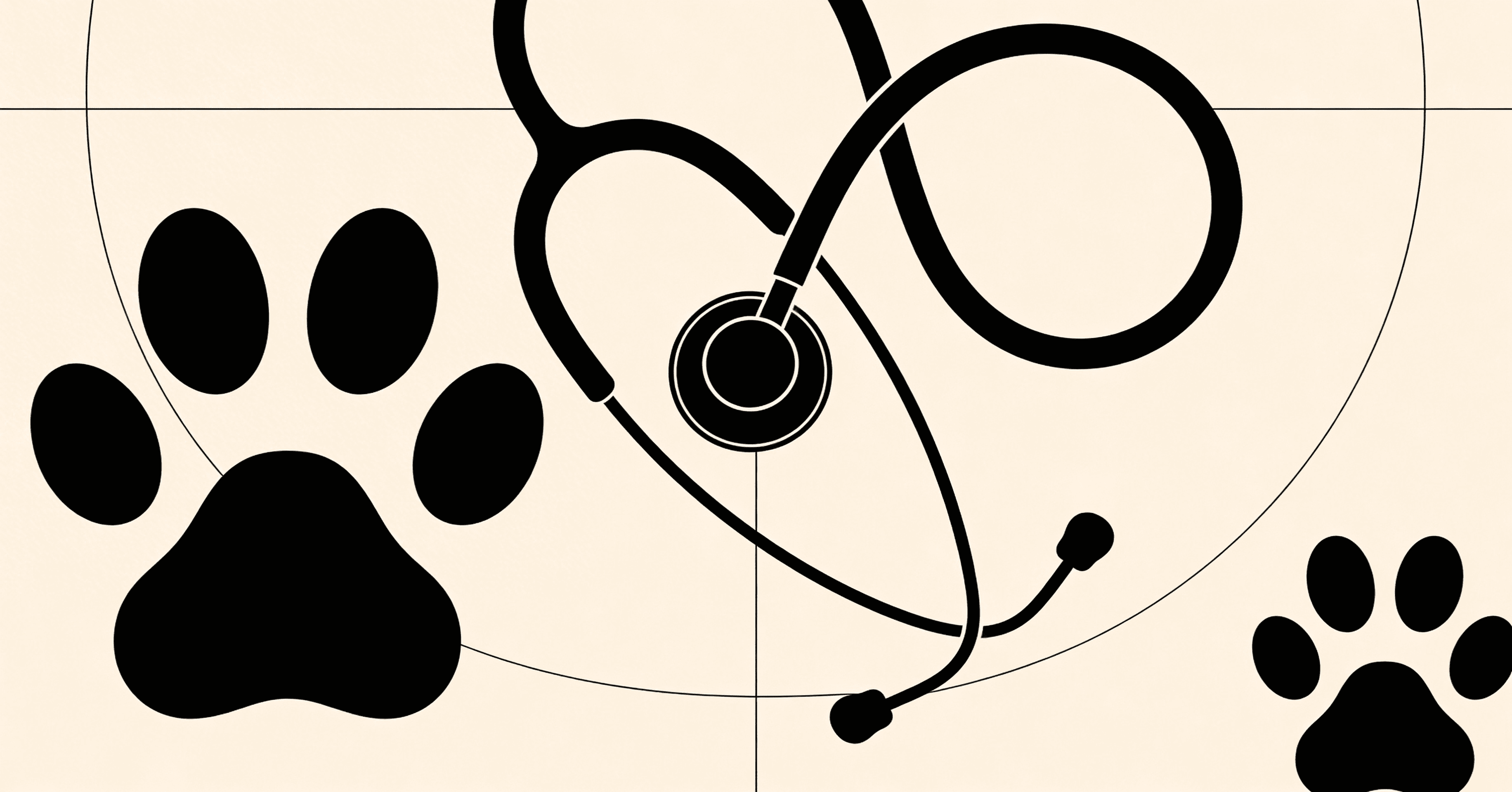 Website für Tierarztpraxen: Warum 73 % der Tierbesitzer online suchen — und was deine Praxis-Website braucht